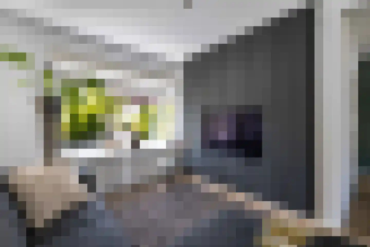 Windvang 11 Huizen thumbnail 7