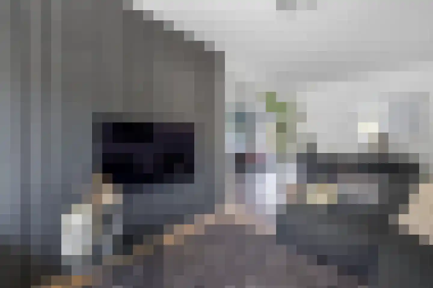 Windvang 11 Huizen thumbnail 9