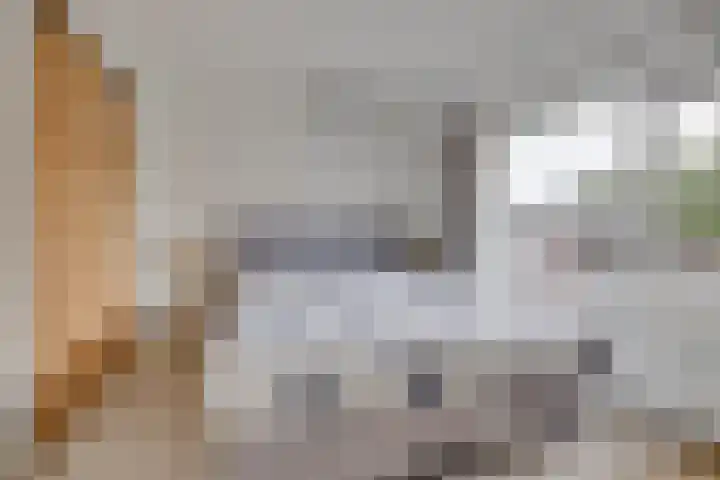 Windvang 15 Blaricum thumbnail 16