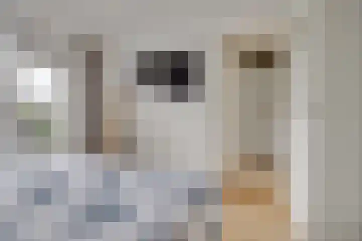 Windvang 15 Blaricum thumbnail 17