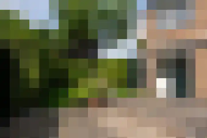 Windvang 15 Blaricum thumbnail 23