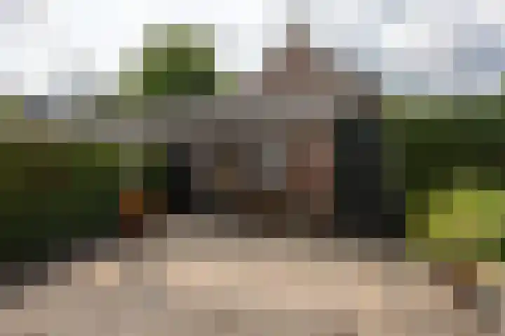 Windvang 15 Blaricum thumbnail 24