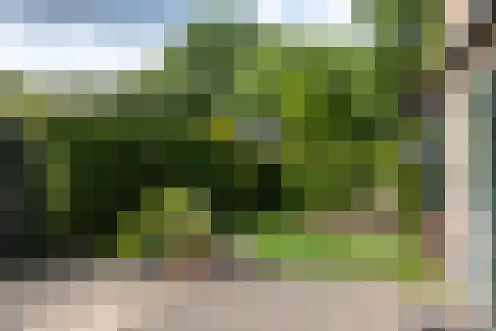 Windvang 15 Blaricum thumbnail 25