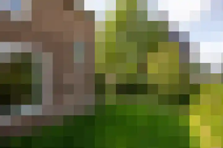 Windvang 15 Blaricum thumbnail 28