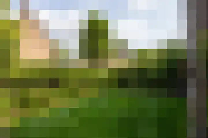 Windvang 15 Blaricum thumbnail 29