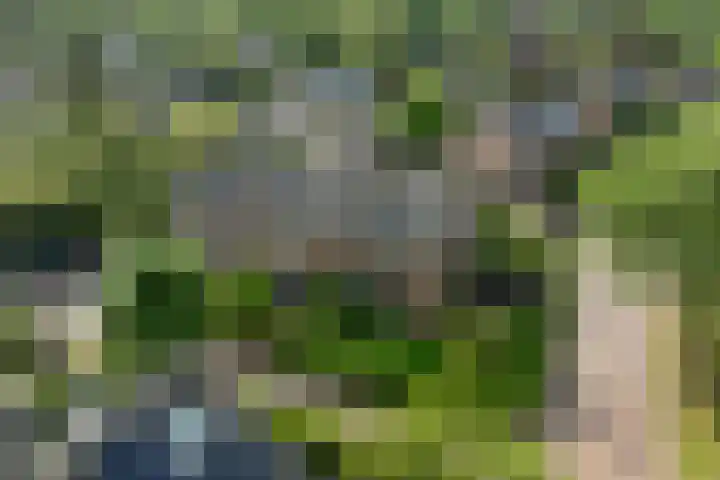 Windvang 15 Blaricum thumbnail 30