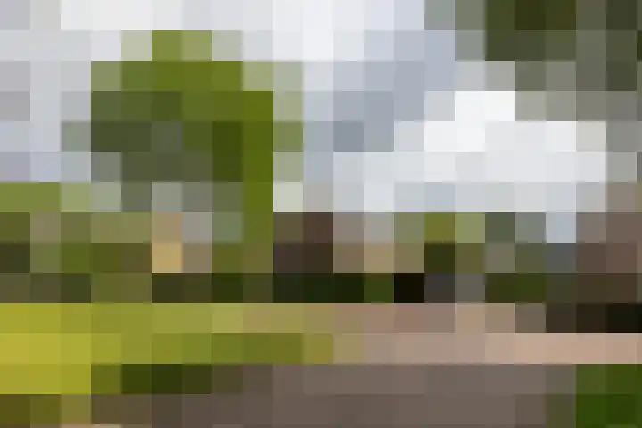 Windvang 15 Blaricum thumbnail 34