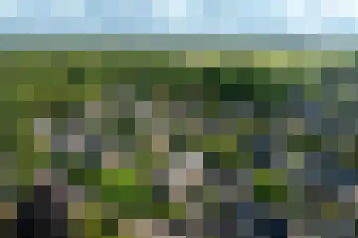 Windvang 15 Blaricum thumbnail 35