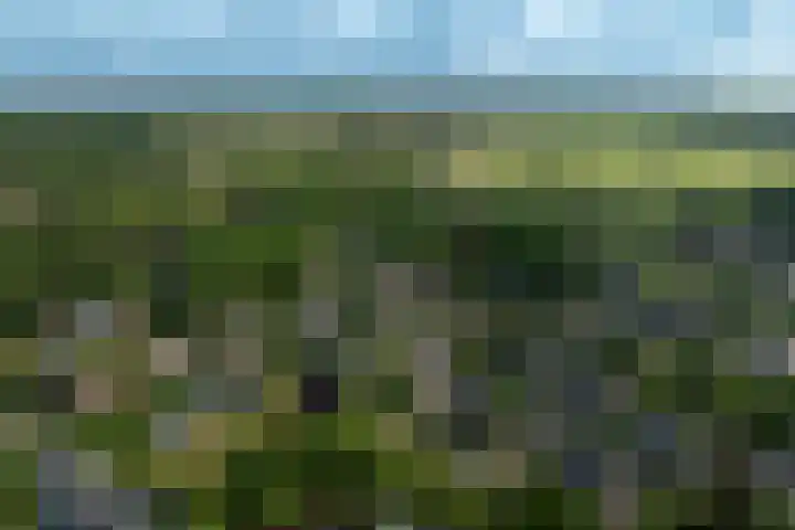 Windvang 15 Blaricum thumbnail 36