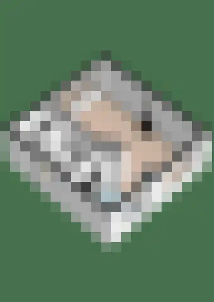 Windvang 15 Blaricum thumbnail 38