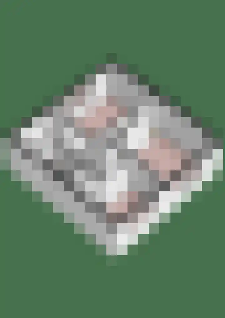 Windvang 15 Blaricum thumbnail 40