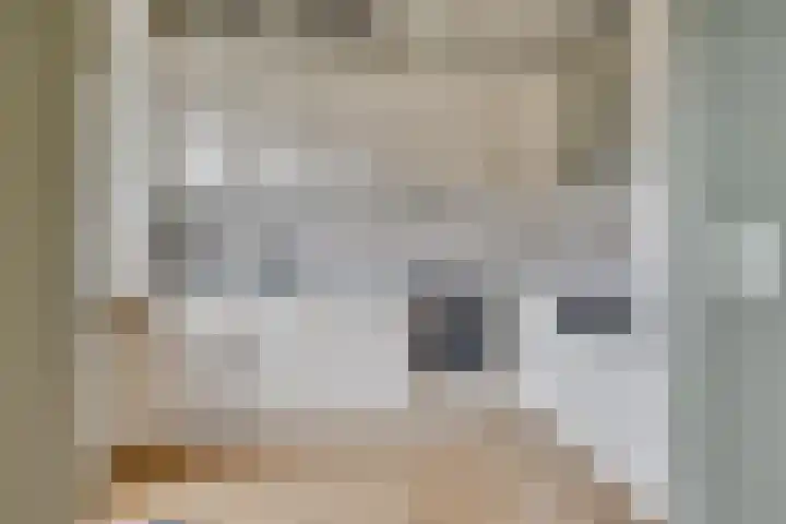 Windvang 15 Blaricum thumbnail 8