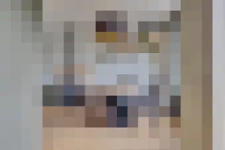 Windvang 15 Blaricum thumbnail 9