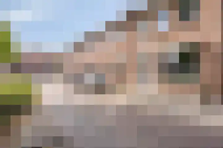 Windvang 17 Gilze thumbnail 27