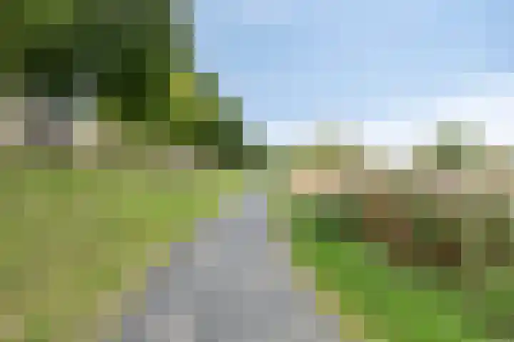 Windvang 17 Gilze thumbnail 29