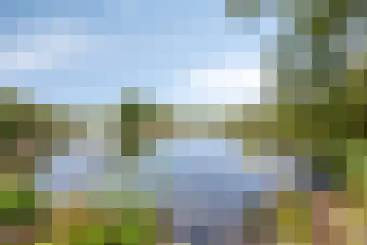 Windvang 17 Gilze thumbnail 30
