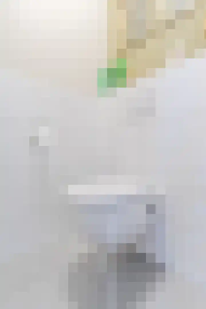 Windvang 2 E Reusel thumbnail 10