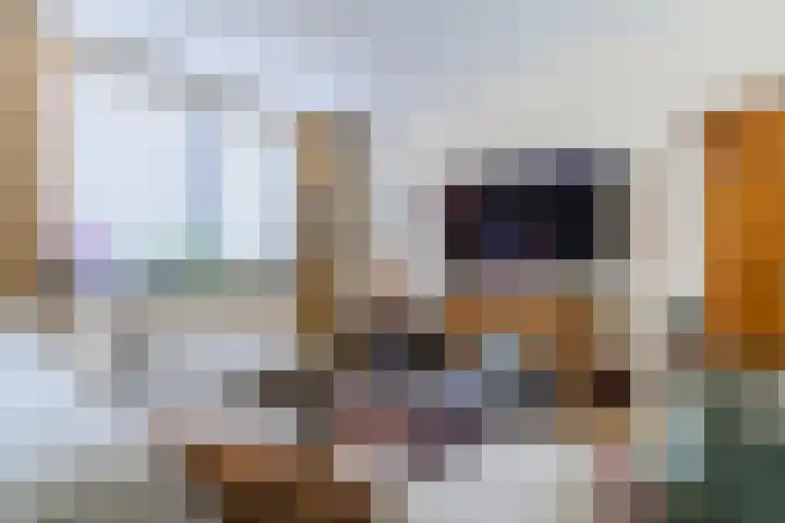 Windvang 2 E Reusel thumbnail 11