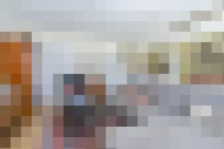 Windvang 2 E Reusel thumbnail 14