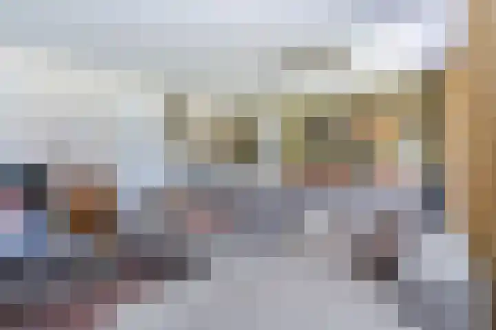 Windvang 2 E Reusel thumbnail 15