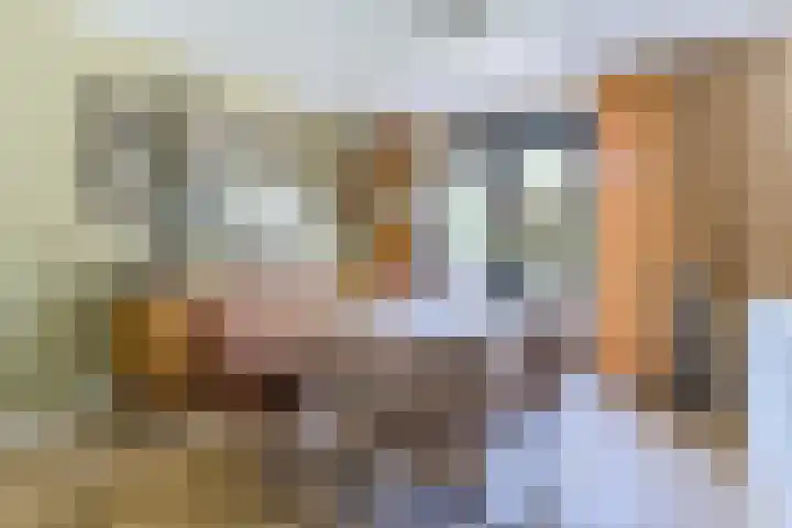 Windvang 2 E Reusel thumbnail 17