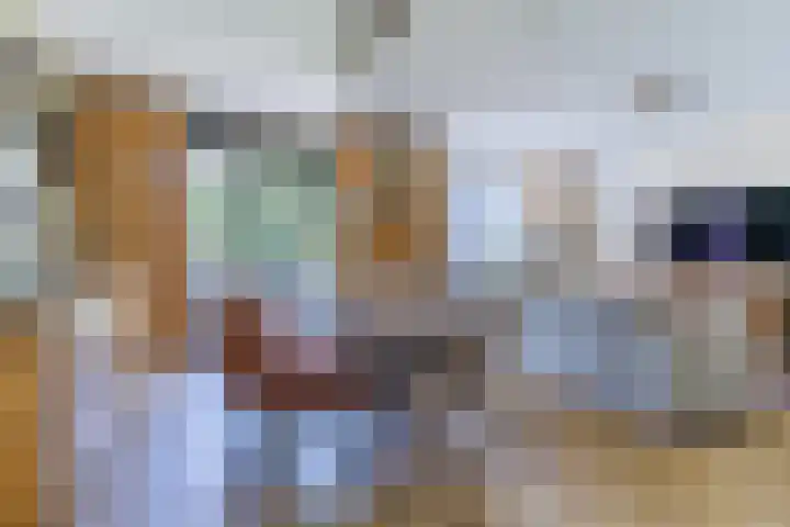 Windvang 2 E Reusel thumbnail 18