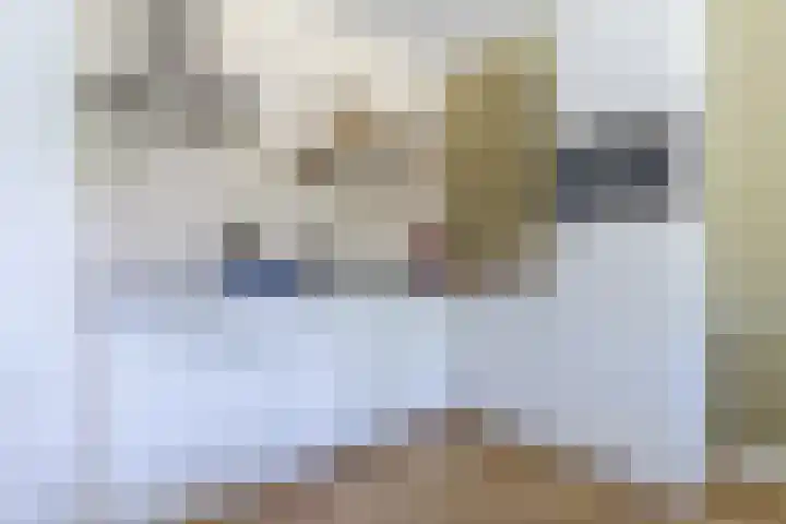 Windvang 2 E Reusel thumbnail 20