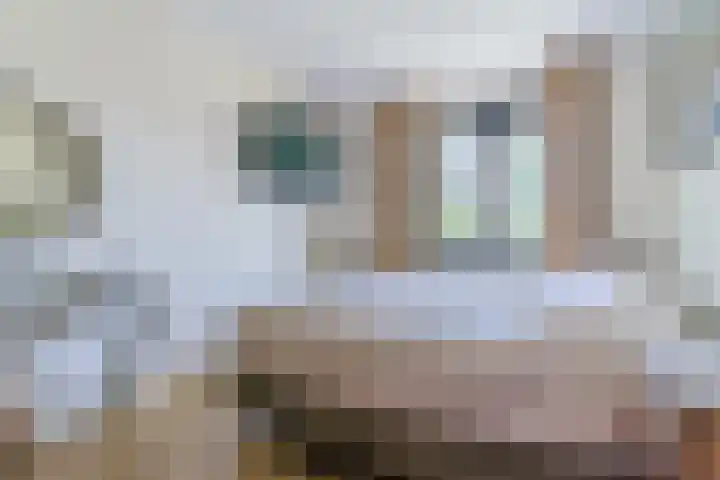 Windvang 2 E Reusel thumbnail 21