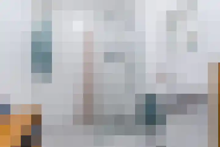 Windvang 2 E Reusel thumbnail 25