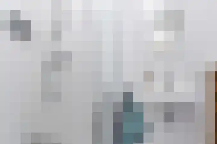 Windvang 2 E Reusel thumbnail 26