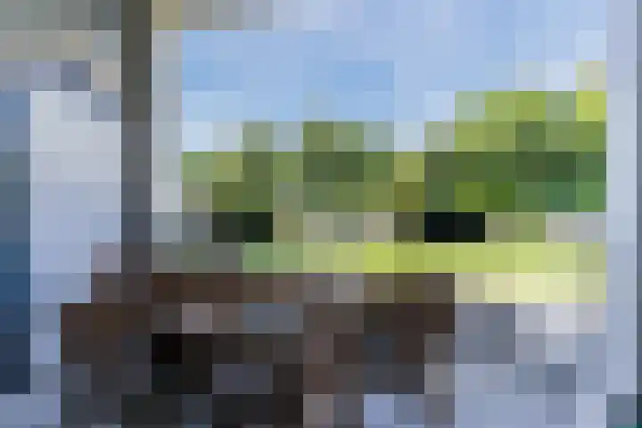 Windvang 2 E Reusel thumbnail 27