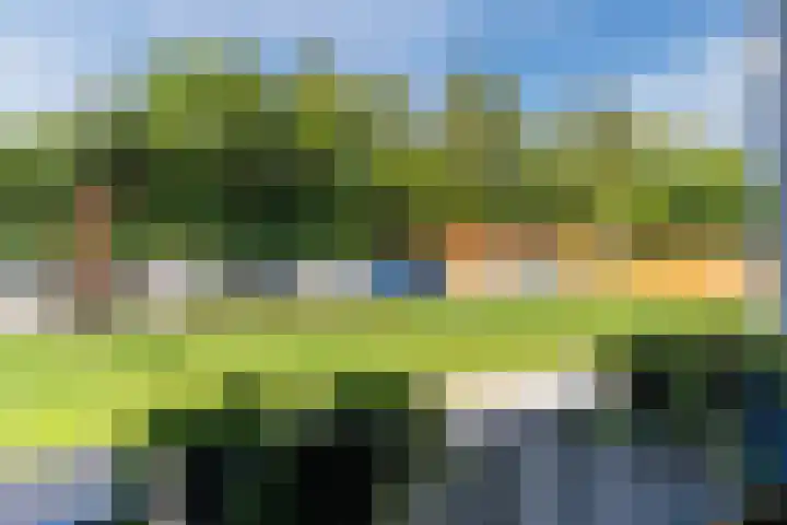 Windvang 2 E Reusel thumbnail 28