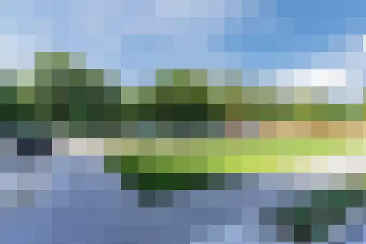Windvang 2 E Reusel thumbnail 29