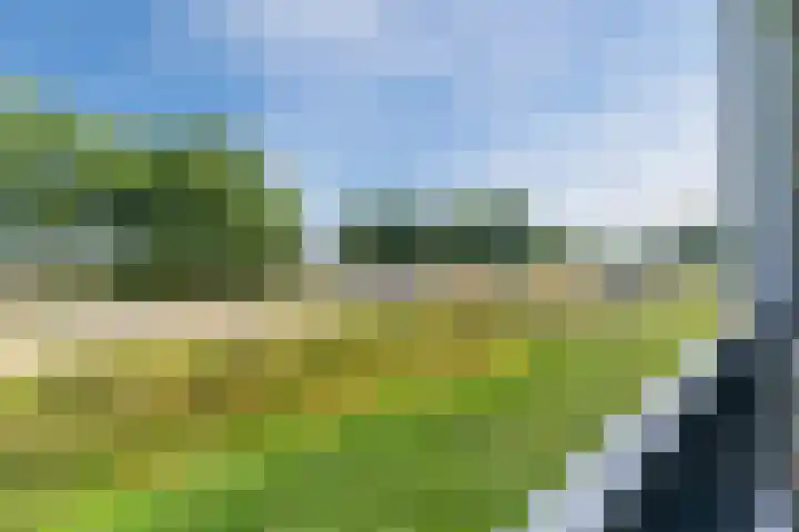 Windvang 2 E Reusel thumbnail 31