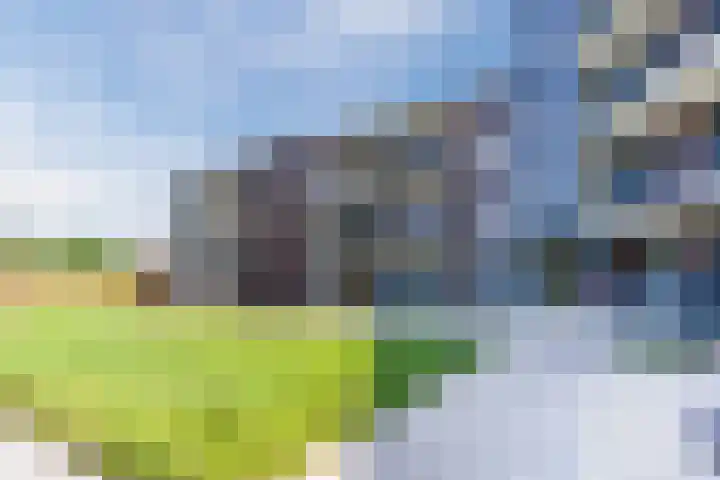 Windvang 2 E Reusel thumbnail 34