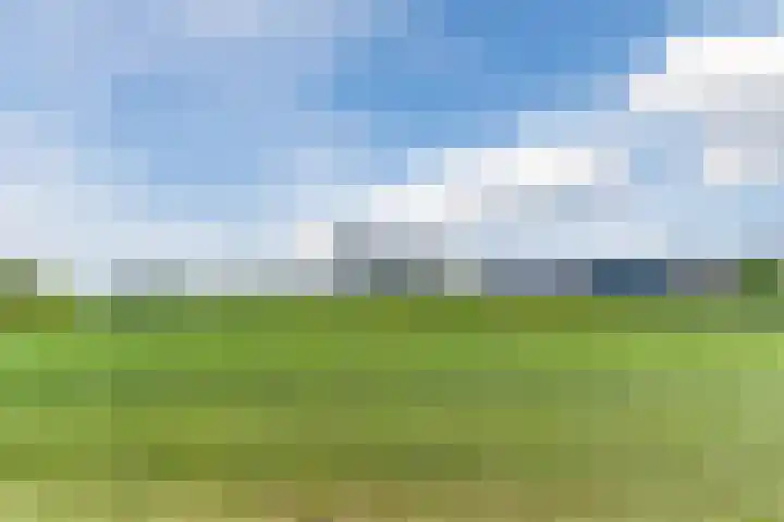 Windvang 2 E Reusel thumbnail 37