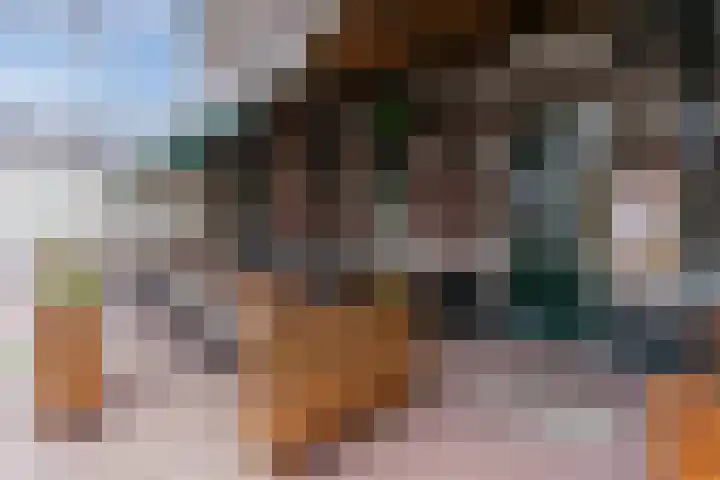 Windvang 2 E Reusel thumbnail 40