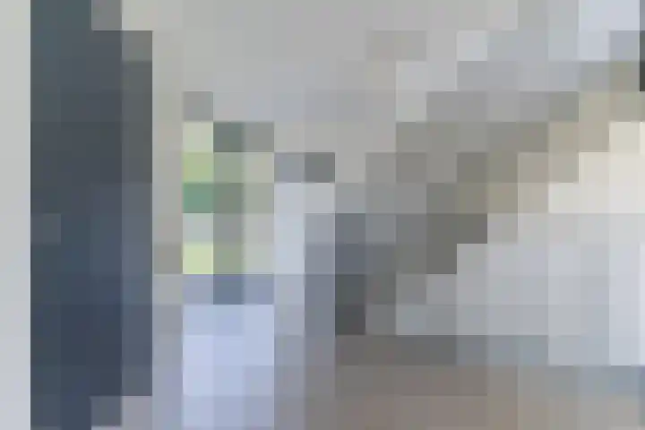 Windvang 2 E Reusel thumbnail 5