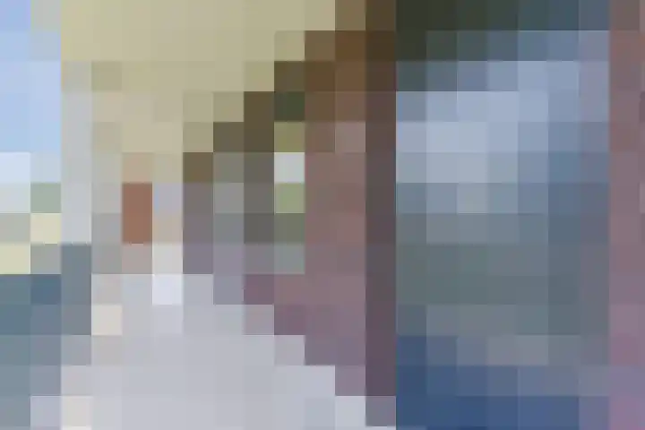 Windvang 2 E Reusel thumbnail 7