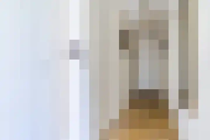 Windvang 2 E Reusel thumbnail 8