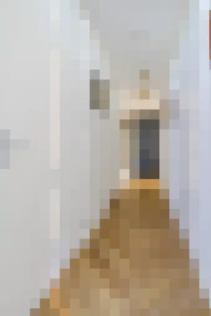 Windvang 2 E Reusel thumbnail 9