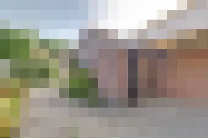 Windvang 20 Gilze thumbnail 24