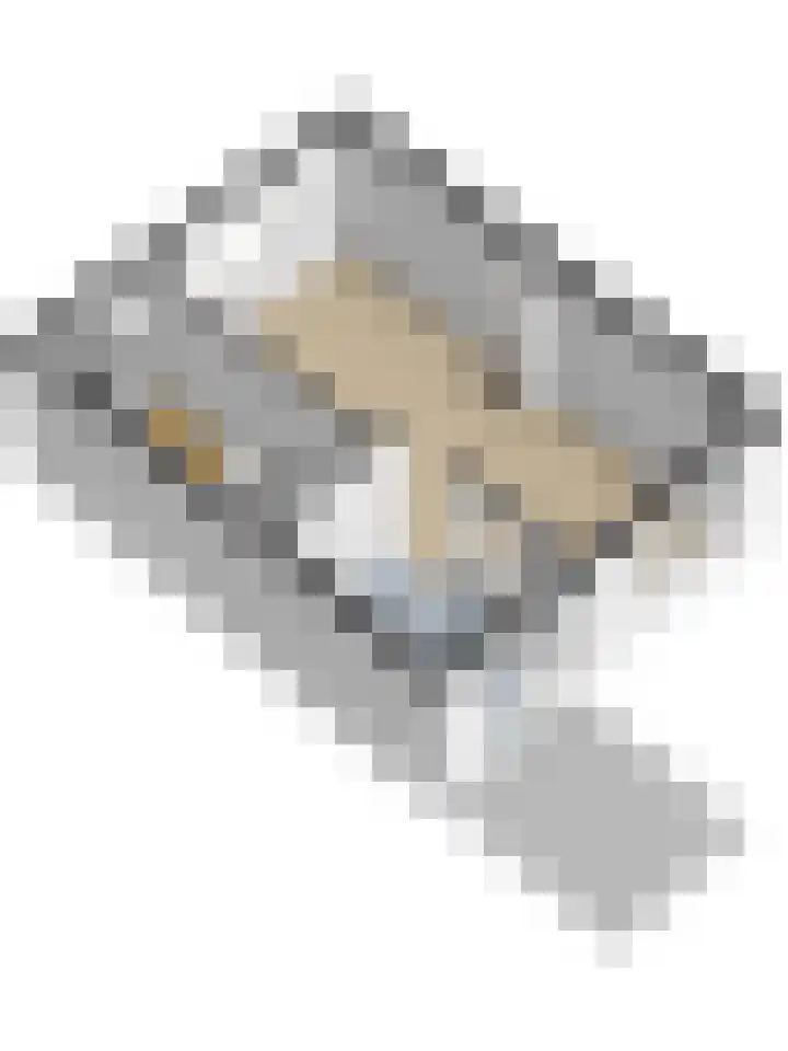 Windvang 20 Gilze thumbnail 29