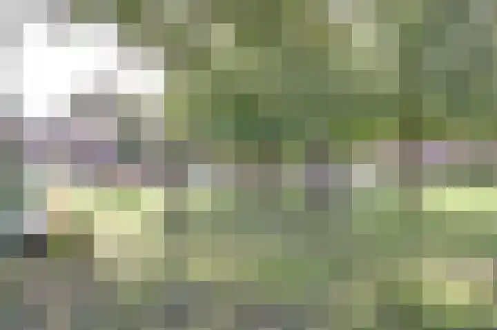 Windvang 20 Gilze thumbnail 4