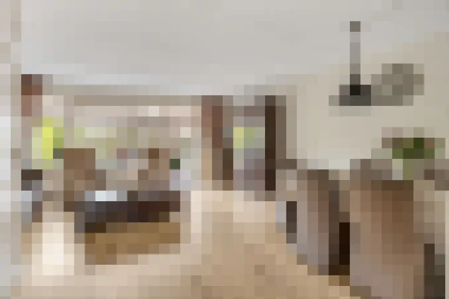 Windvang 20 Maartensdijk thumbnail 6