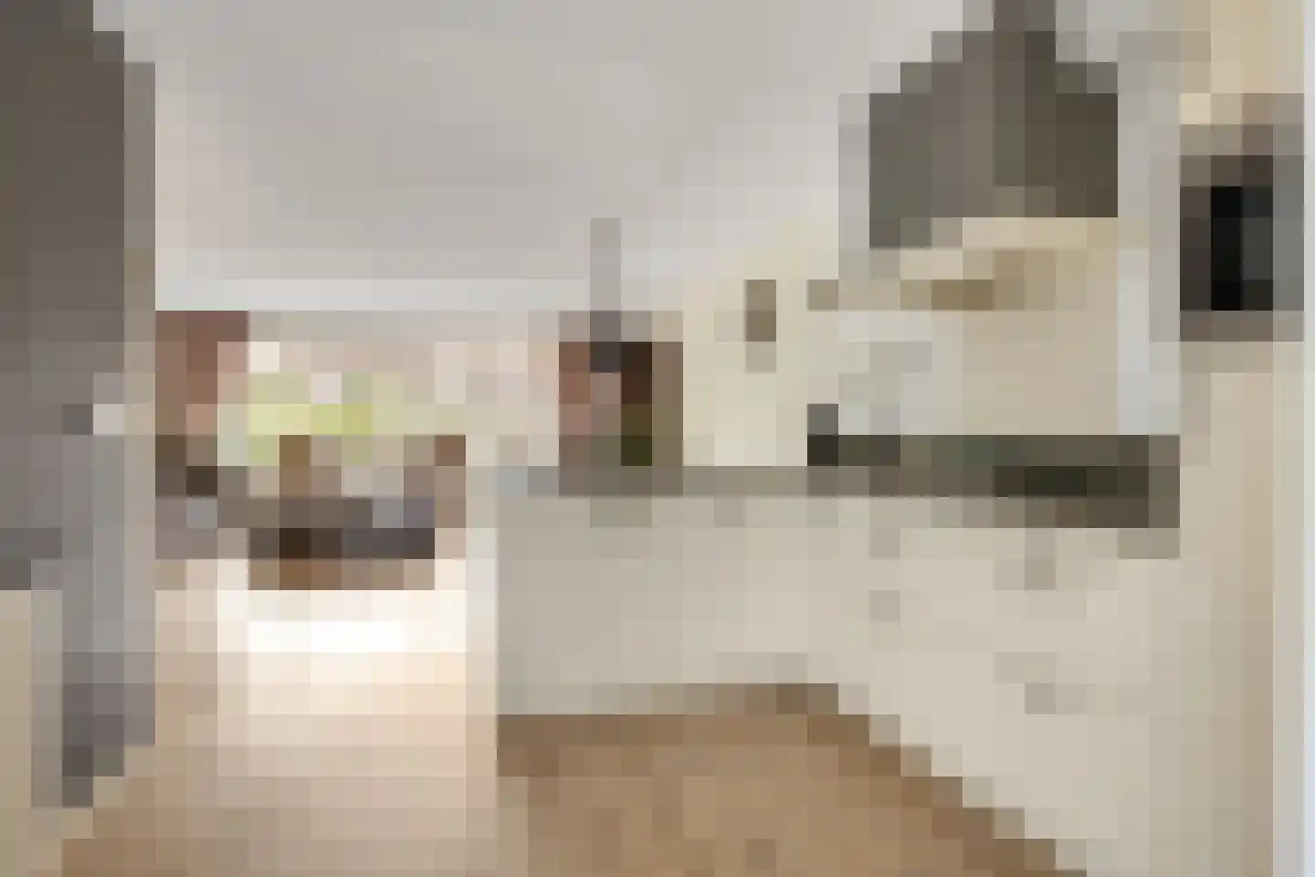 Windvang 20 Maartensdijk thumbnail 9