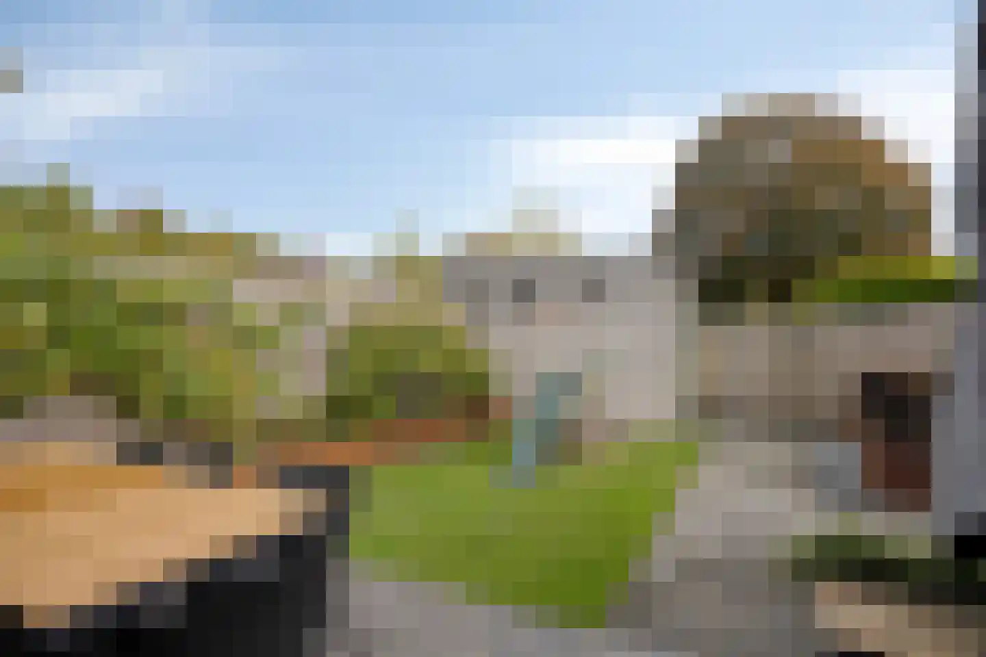 Windvang 22 Mierlo thumbnail 5