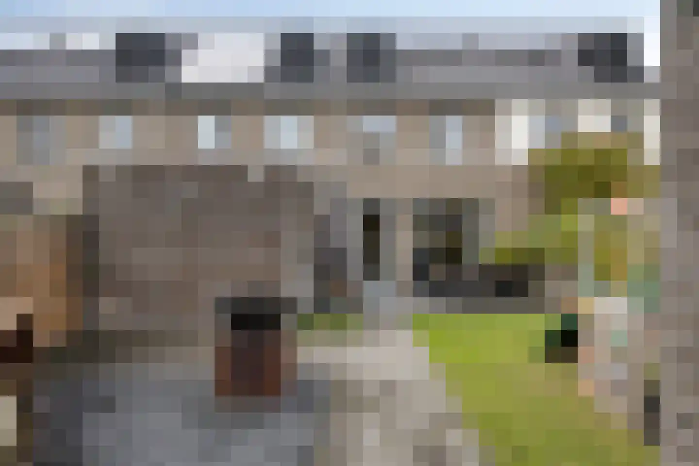 Windvang 22 Mierlo thumbnail 6