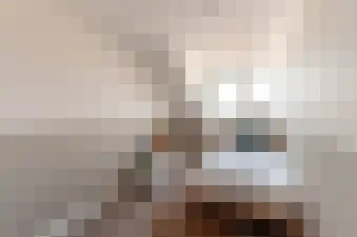 Windvang 25 Elburg thumbnail 28