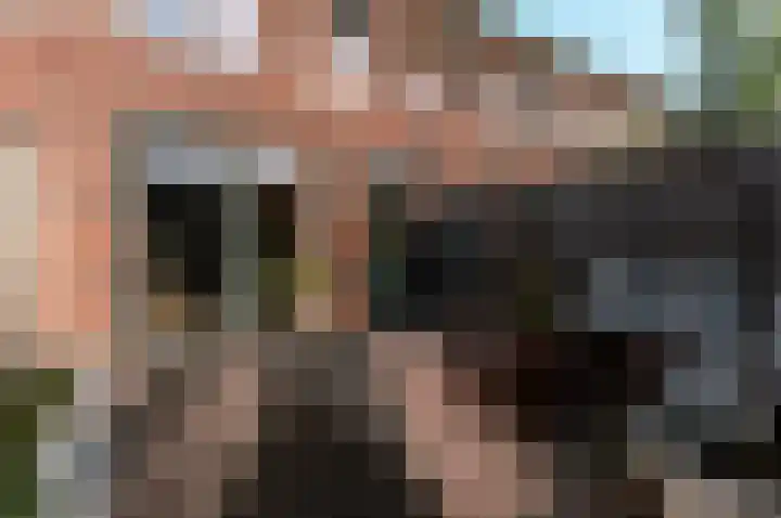 Windvang 25 Elburg thumbnail 33